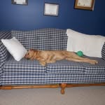 Jon Shively - @shively.jon - Instagram