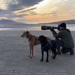 Jonathan Simons Wildlife - @jonsimonsphotography - Instagram