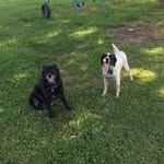 John Skaggs - @johneskaggs - Instagram