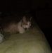 Jon Smock - Facebook