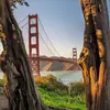 John Sorenson - @john.sorenson8 - TikTok