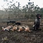 Jon South - @no1southy - Instagram