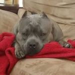 Jon Specker - @jonspecker - Instagram