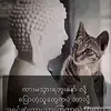 jon speed - @jon.speed3 - TikTok