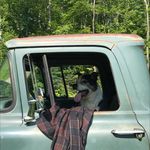 Jon Spence - @rustnh603 - Instagram