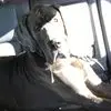 Jon Sprague - @jon.sprague5 - TikTok