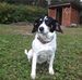 Jon Sprague - Facebook