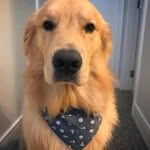jonsprinkles - @jonsprinkles3 - Instagram