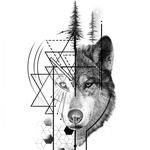young wolf - @__jon_stark - Instagram