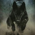 Jon Starkey - @shark.jon - Instagram