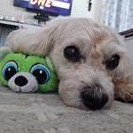 Jon Starkey - @jon_the_fabricator - Instagram