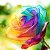 John.steel - @john.steel - TikTok