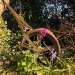 Jon Steel - @steelypix - Instagram