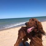 Jon Sternfels - @jonsternfels - Instagram