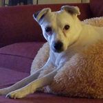 John Stocker - @john.stocker.94 - Instagram