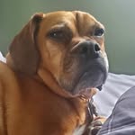 Jon Storm - @homehit - Instagram