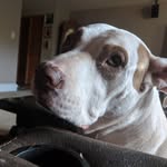 Jon Story - @jontattoo69 - Instagram