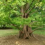Jon Story - @jonestory1 - Instagram