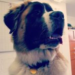 Jon Strain - @strainjon - Instagram