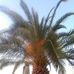 Jon Sundquist - Facebook