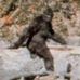 Jon Sundquist - Facebook