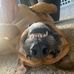 Jon Taber - Facebook