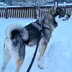 Jonte Olofsson - @jontaberten - Instagram
