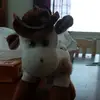 Humala - @jonteterva - TikTok
