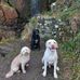 Jonny Thacker - Facebook