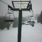 Jon Thibault & Cory Kibel - @endostrees - Instagram