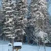 Jon Thomas - @jon.thomas725 - TikTok