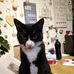 Jon Thorpe - Facebook