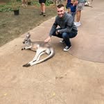 Jon Tillich - @jontillich - Instagram