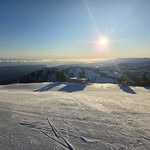 Jon Timmons - @jonsavage99 - Instagram