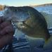 Jon Tisdale - Facebook