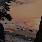 John Tolley - @tolleyjet - Instagram
