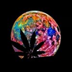 Jon Tracy - @sk8_football7 - Instagram