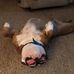 Jon Trammell - Facebook