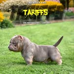 Jon Tran - @tba_jt - Instagram