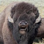 Jon L. Trimble Sr. - @jonny_trimble - Instagram