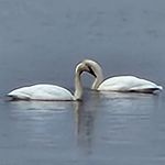 Jon Turner - @yukonjon76 - Instagram