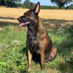 Jon Tuttle - @jon_tuttle_ - Instagram