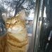 Jon Valenzuela - Facebook