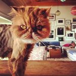 Jon Russell VanNortwick - @russmoves - Instagram
