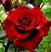 Jon Wake - Facebook