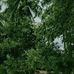 Joni Waker - Facebook