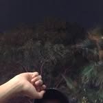 Jon_wang - @jon_wang__ - Instagram