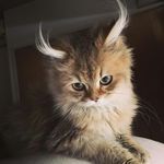 @jonwashingtonofficial - Instagram