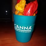 Jon Watkins - @joncanna - Instagram