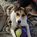 Jon watkins - @jonwatkins05 - Instagram
